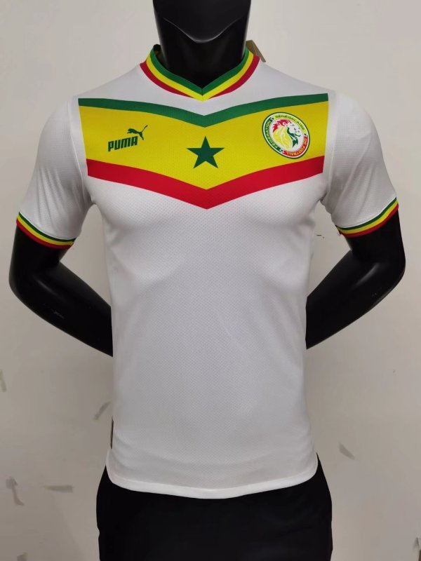 2223 Senegal home